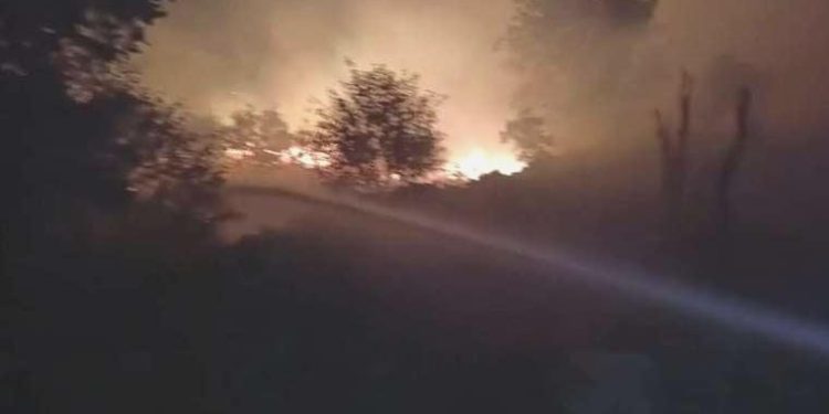 Diyarbakır’da orman yangını… İki mahalle risk altında!