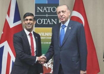 Erdoğan, İngiltere Başbakanı Sunak ile bir ortaya geldi