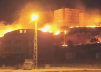 Gaziantep’te otluk alanda yangın… Yüzlerce zeytin ağacı ziyan gördü!