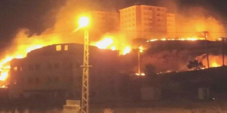 Gaziantep’te otluk alanda yangın… Yüzlerce zeytin ağacı ziyan gördü!