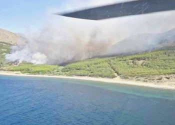 Gökçeada’daki orman yangını denetim altına alındı