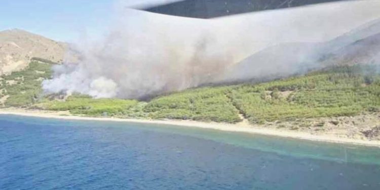 Gökçeada’daki orman yangını denetim altına alındı