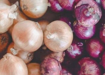 Göz yaşartmayan soğan raflardaki yerini alacak