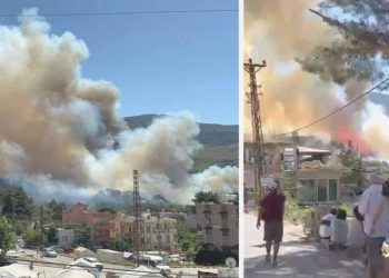Hatay’da orman yangını! Yerleşim yerlerine yaklaşıyor…