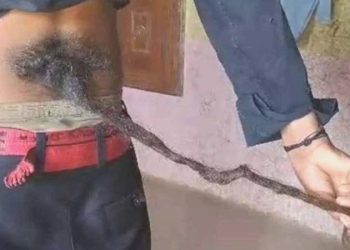 Hindistan’da halk, sırtından kuyruk çıkan çocuğa tapınmaya başladı