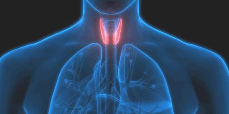 ‘Hormonal bozukluklar ve tiroid hastalıkları çok terlemeye neden olabilir’