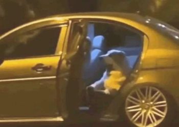 İstanbul’da köpek arabaya girdi, saatlerce çıkarılamadı