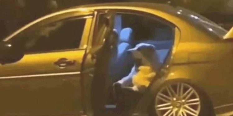 İstanbul’da köpek arabaya girdi, saatlerce çıkarılamadı