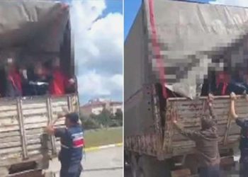 Jandarmadan kaçak göçmen operasyonu: 105 kaçak göçmen yakalandı