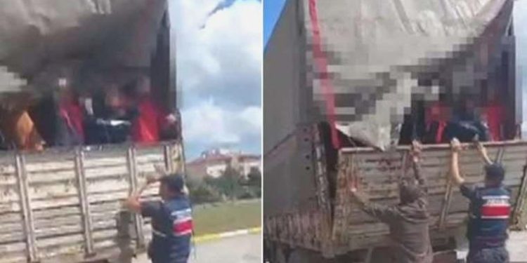 Jandarmadan kaçak göçmen operasyonu: 105 kaçak göçmen yakalandı