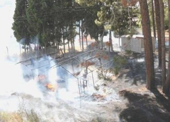 Kahramanmaraş’ta korkutan yangın!