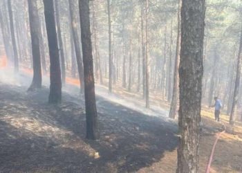 Kahramanmaraş’ta orman yangını!