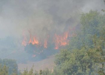 Kahramanmaraş’ta orman yangını!