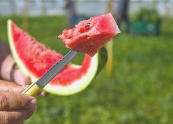 Karpuzu peynirle yerken bir sefer daha düşünün! Uzmanı karpuzseverleri uyardı