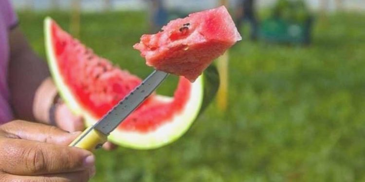 Karpuzu peynirle yerken bir sefer daha düşünün! Uzmanı karpuzseverleri uyardı