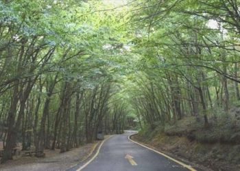 Kars’ta ormanlık alanlara girişler yasaklandı