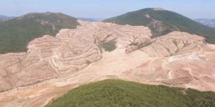 Kaz Dağları’nda tehlike geçmiyor! Rant için tabiat katliamı