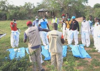 Kenya’da açlık tarikatı soruşturmasında ceset sayısı 351’e yükseldi