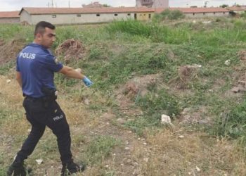 Köpeği av tüfeği ile katletti, ‘Tavuklarıma saldırdı’ dedi