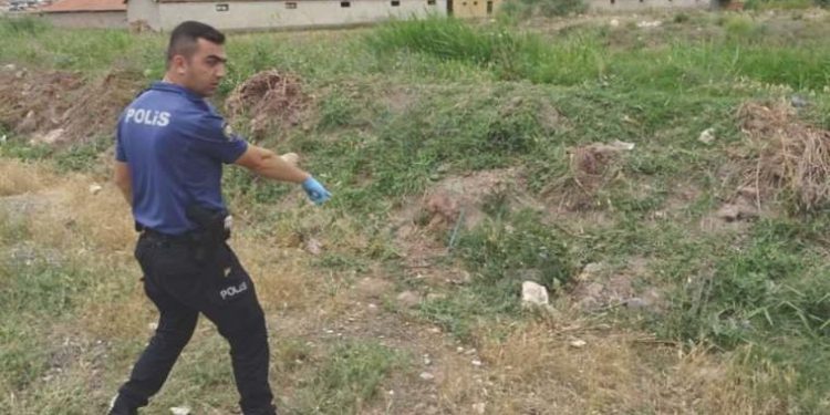 Köpeği av tüfeği ile katletti, ‘Tavuklarıma saldırdı’ dedi