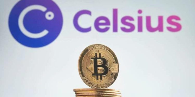 Kripto kuruluşu Celsius Network’ün kurucusu dolandırıcılık suçlamasıyla gözaltında