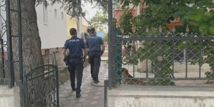 Makûs kaidelerde kedi besleyen şahsa 41 bin lira ceza!