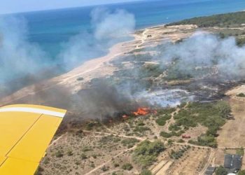 Manavgat’taki orman yangınında ihmal savı