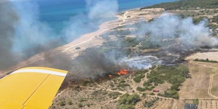 Manavgat’taki orman yangınında ihmal savı