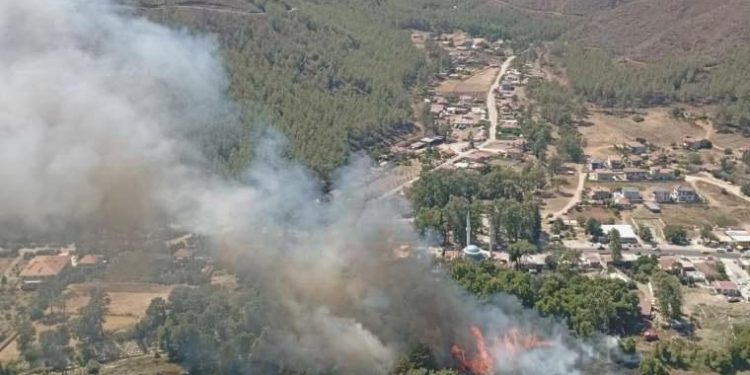 Marmaris’te çıkan orman yangını denetim altına alındı