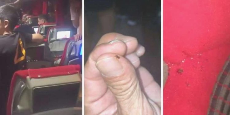 Mersin-İstanbul otobüsünde ‘tahta kurusu’ paniği: 45 yolcu ayakta seyahat yaptı