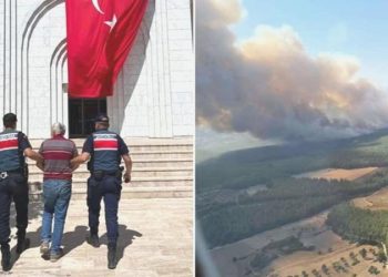 Milas yangınının nedeni belirli oldu: 160 hektarı kül etmişti, tutuklandı