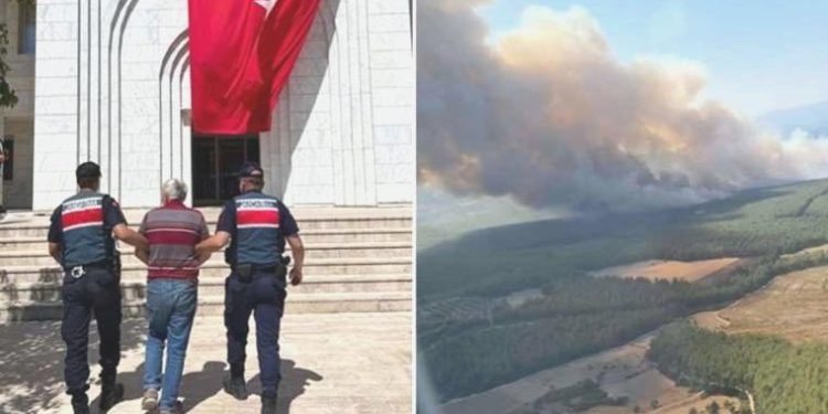 Milas yangınının nedeni belirli oldu: 160 hektarı kül etmişti, tutuklandı