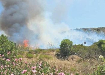 Milas’ta makilik alanda yangın… Alevler ormana ulaştı!