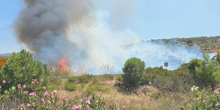 Milas’ta makilik alanda yangın… Takımların müdahalesi sürüyor!
