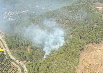 Muğla’da orman yangını! Takımlar müdahale ediyor