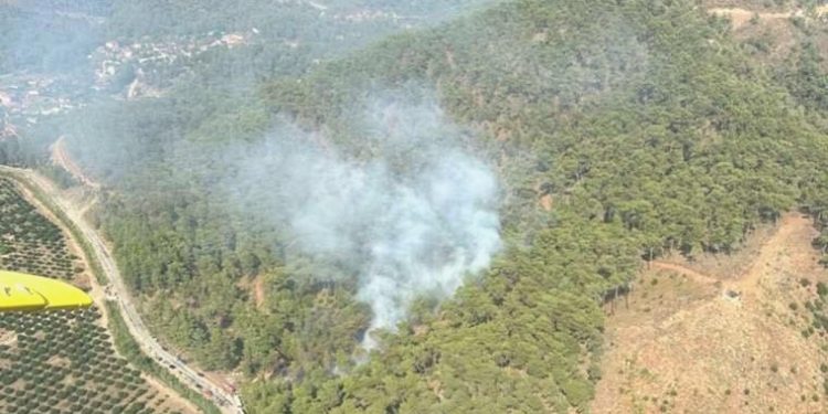 Muğla’da orman yangını! Takımlar müdahale ediyor