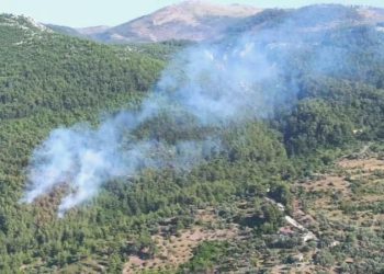 Muğla’da ormanlık alanda korkutan yangın: Müdahale sürüyor