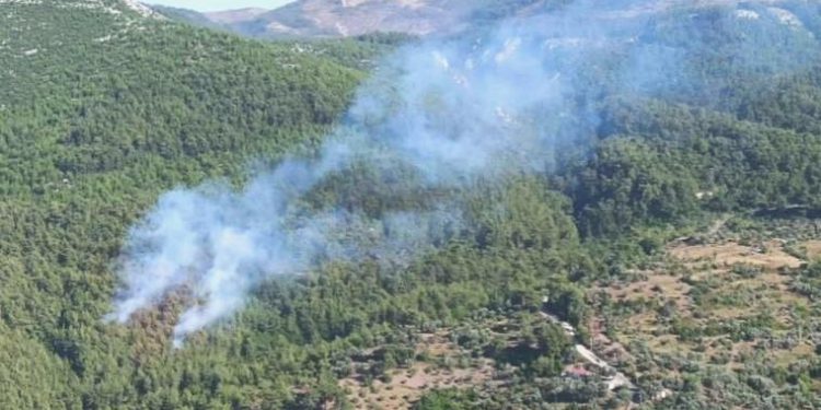 Muğla’da ormanlık alanda korkutan yangın: Müdahale sürüyor