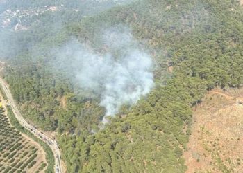 Muğla’da ormanlık alanda yangın: Havadan ve karadan müdahale ediliyor!
