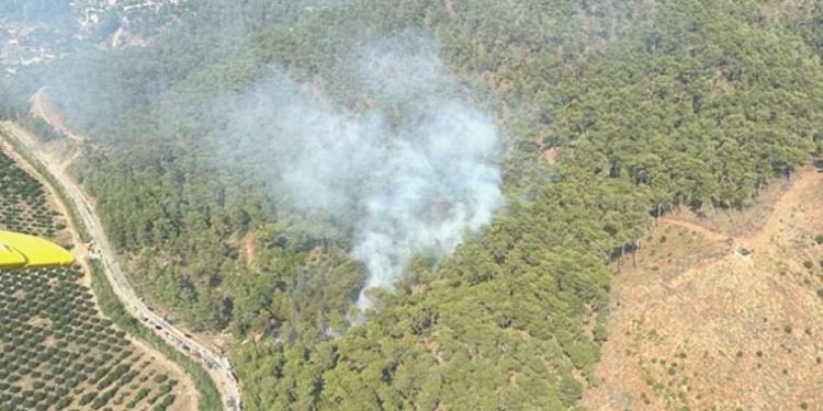 Muğla’da ormanlık alanda yangın: Havadan ve karadan müdahale ediliyor!