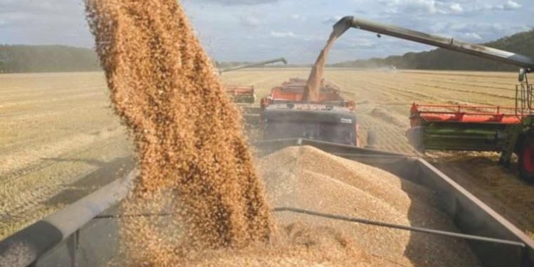 NATO’dan Rusya’ya kınama