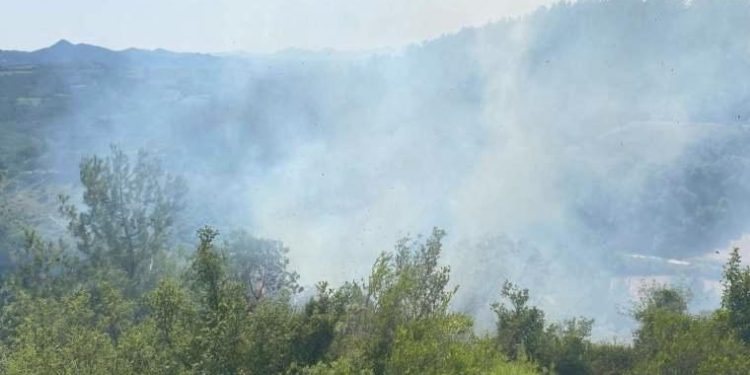 Osmaniye’de orman yangını… 3 dönümlük alan yandı!