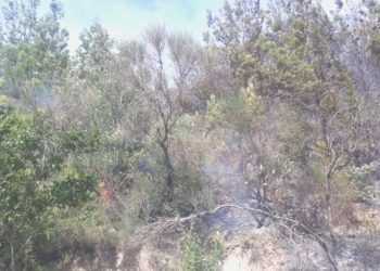 Osmaniye’de orman yangını… Gruplar müdahale ediyor!