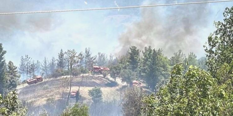 Osmaniye’de orman yangını! Takımlar müdahale ediyor