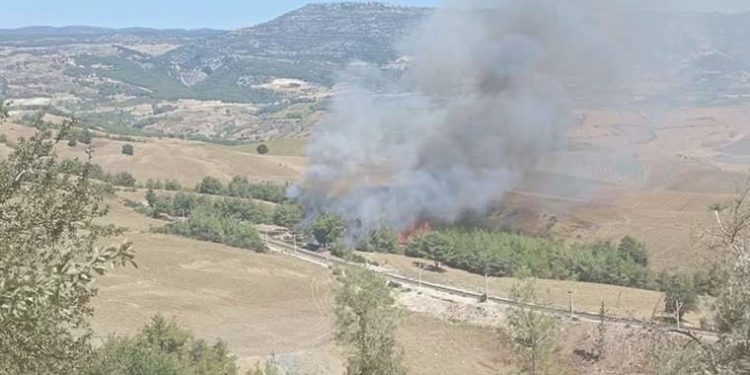 Otlukta çıktı, ormana sıçradı: Adana’da orman yangını!