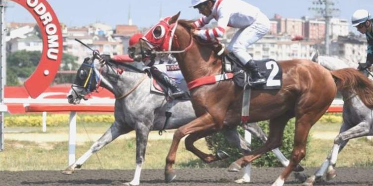 Pertevniyal Koşusu Vizigot’un!