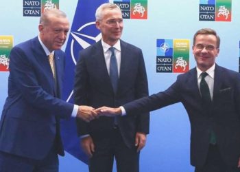 Prof. Dr. İlhan Uzgel: ‘Erdoğan’ın dış siyasette en istemediği şey AB üyelik sürecinin canlanmasıdır’