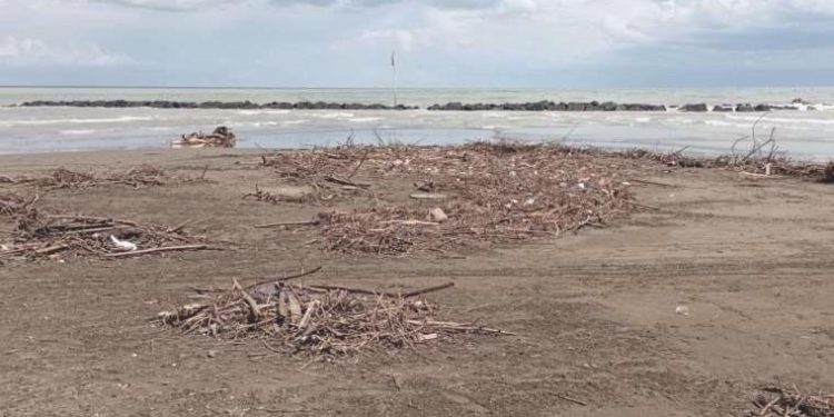 Selin vurduğu Ordu’da 3 gün müddetle denize girmek yasaklandı!