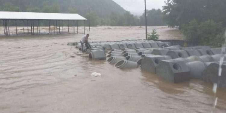 ‘Sellerin tek sebebi iklim değişikliği değil’