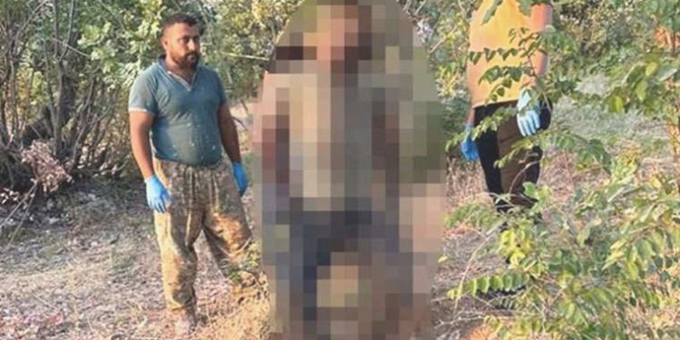 Şırnak’ta azap görmüş erkek cesedi bulundu: Kimliği belirlendi